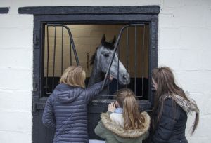 _middleham open day 30.jpg